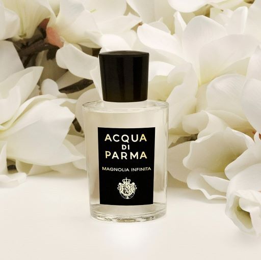 magnolia-infinita-new-fragrance