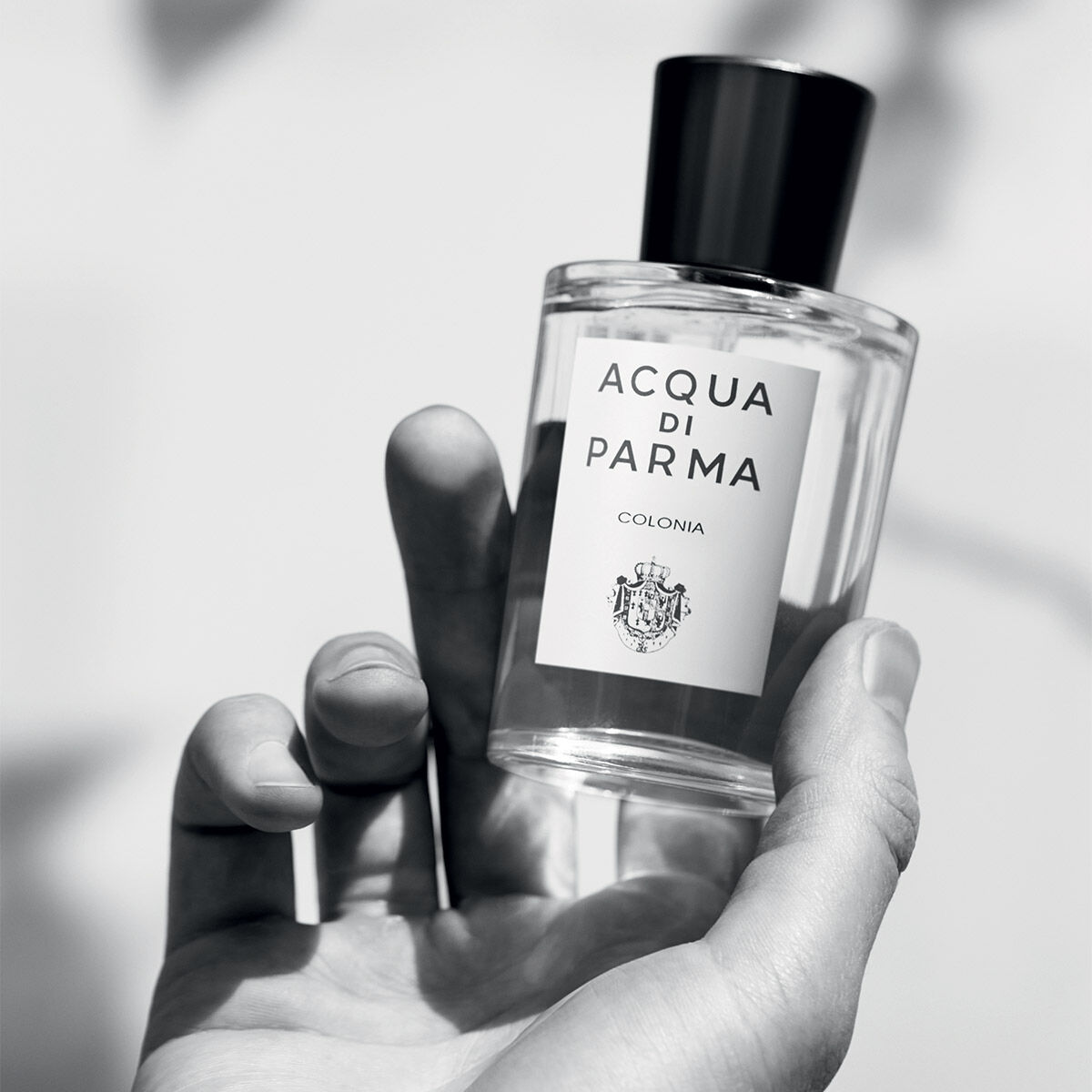 Acqua di shop parma website