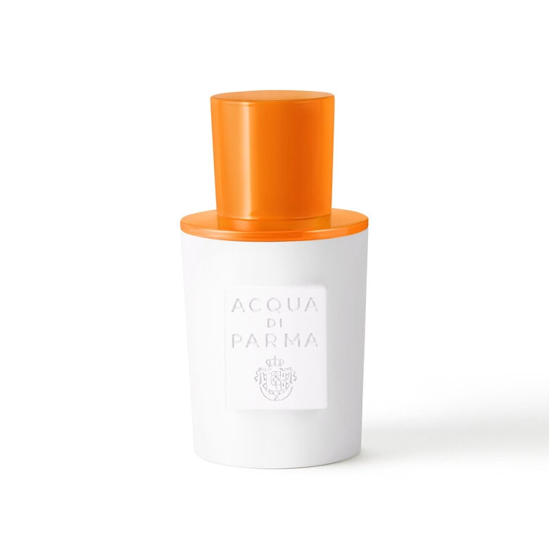 Buongiorno, ONESIZE, hi-res-1