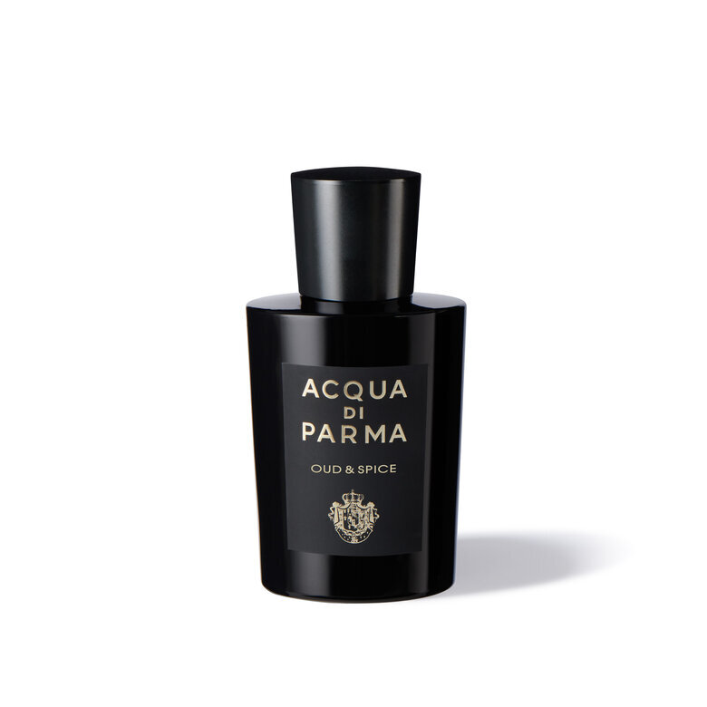 OUD & SPICE, 100ML, hi-res-1