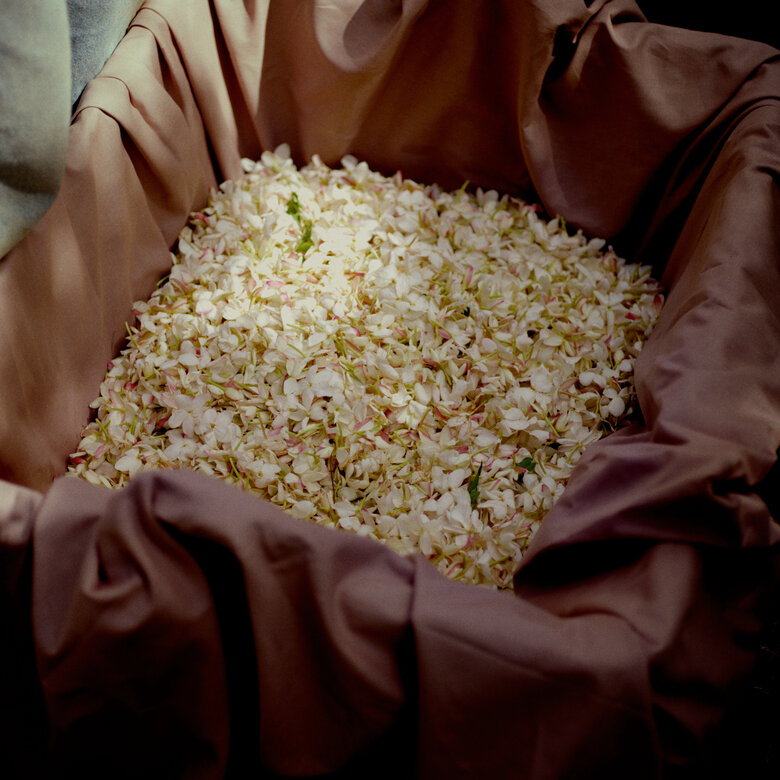 Gelsomino a Freddo, 180ML, hi-res-1