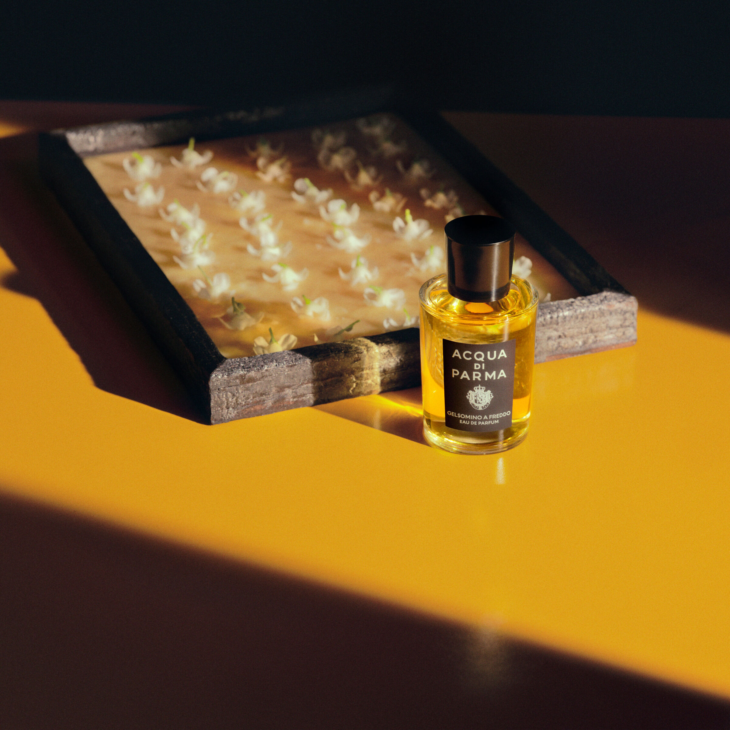 ACQUA DI PARMA ディエゴ Gelsomino A Freddo Eau De Parfum - Signatures Of The Sun | Acqua