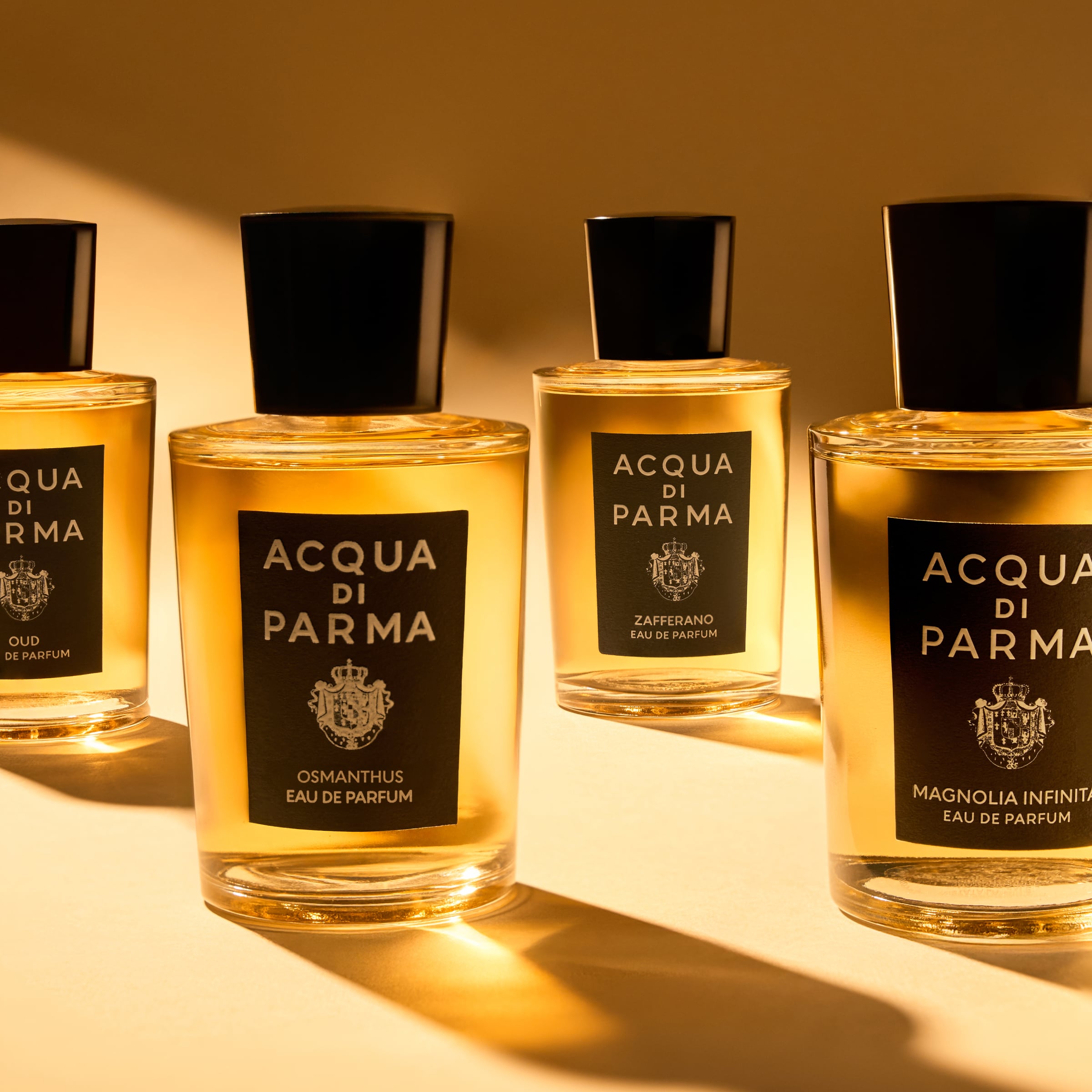 ADPADP082999-100ML.5.H1.jpg